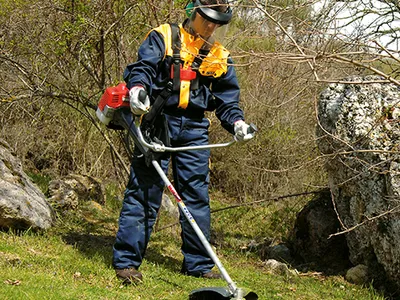 Castelgarden Motorlu Tırpanlar